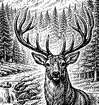 An enlarged deer head with individual halftone dots visible